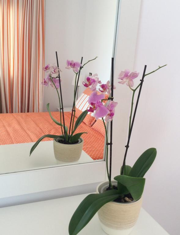Katerina Apartments & Studios Zambujeira do Mar Dış mekan fotoğraf